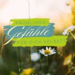Frühlingswiese mit Gänseblümchen und Schriftzug "Frühlingsgefühle für dich selbst?"