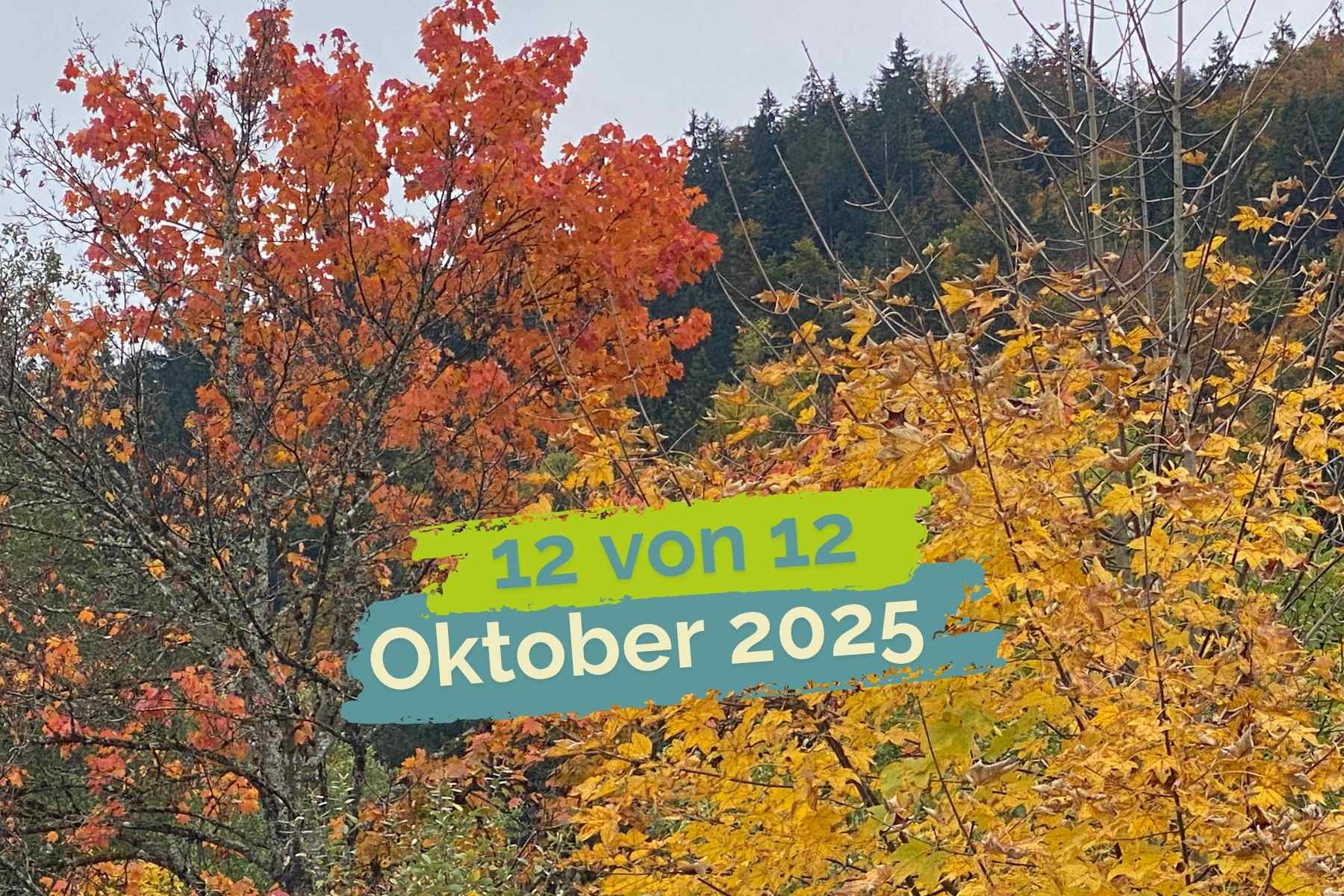 Herbstlich-bunte Bäume, darüber der Schriftzug "12 von 12, Oktober 2025"