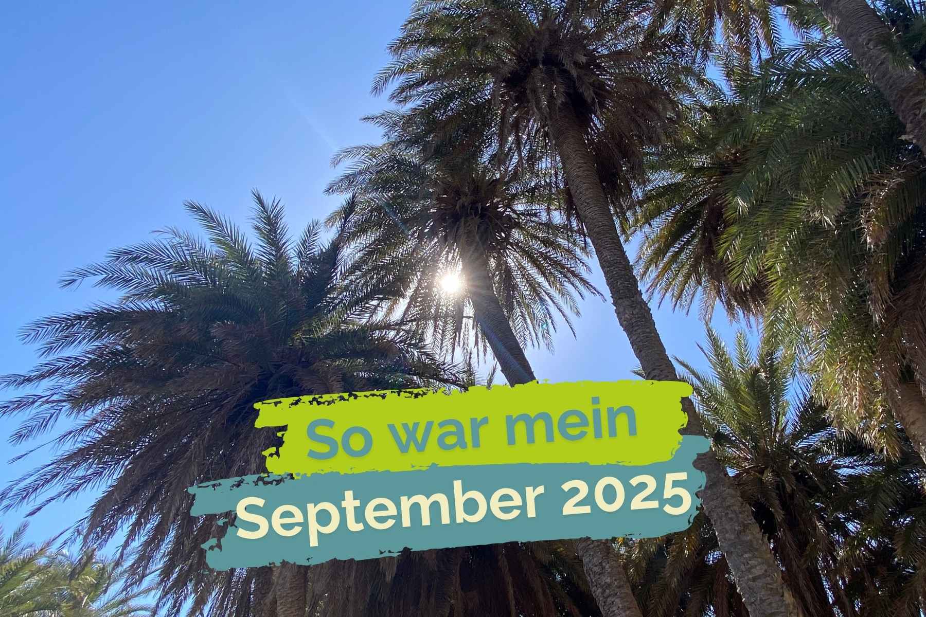 Palmen und Sonne: So war mein September 2025