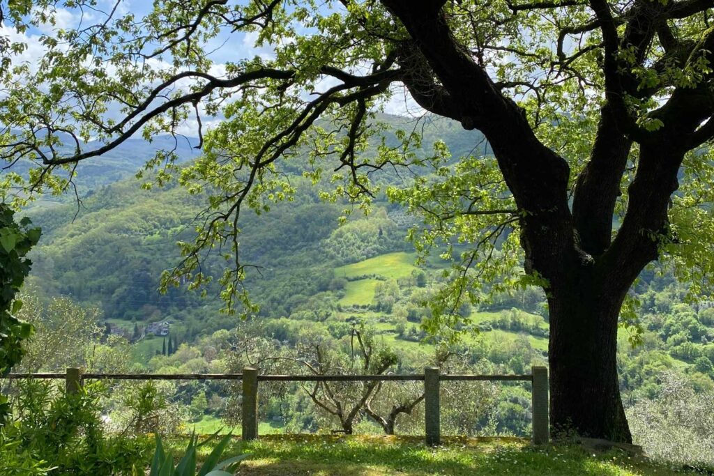 Ausblick über die Hügel nahe Rufina, Toskana