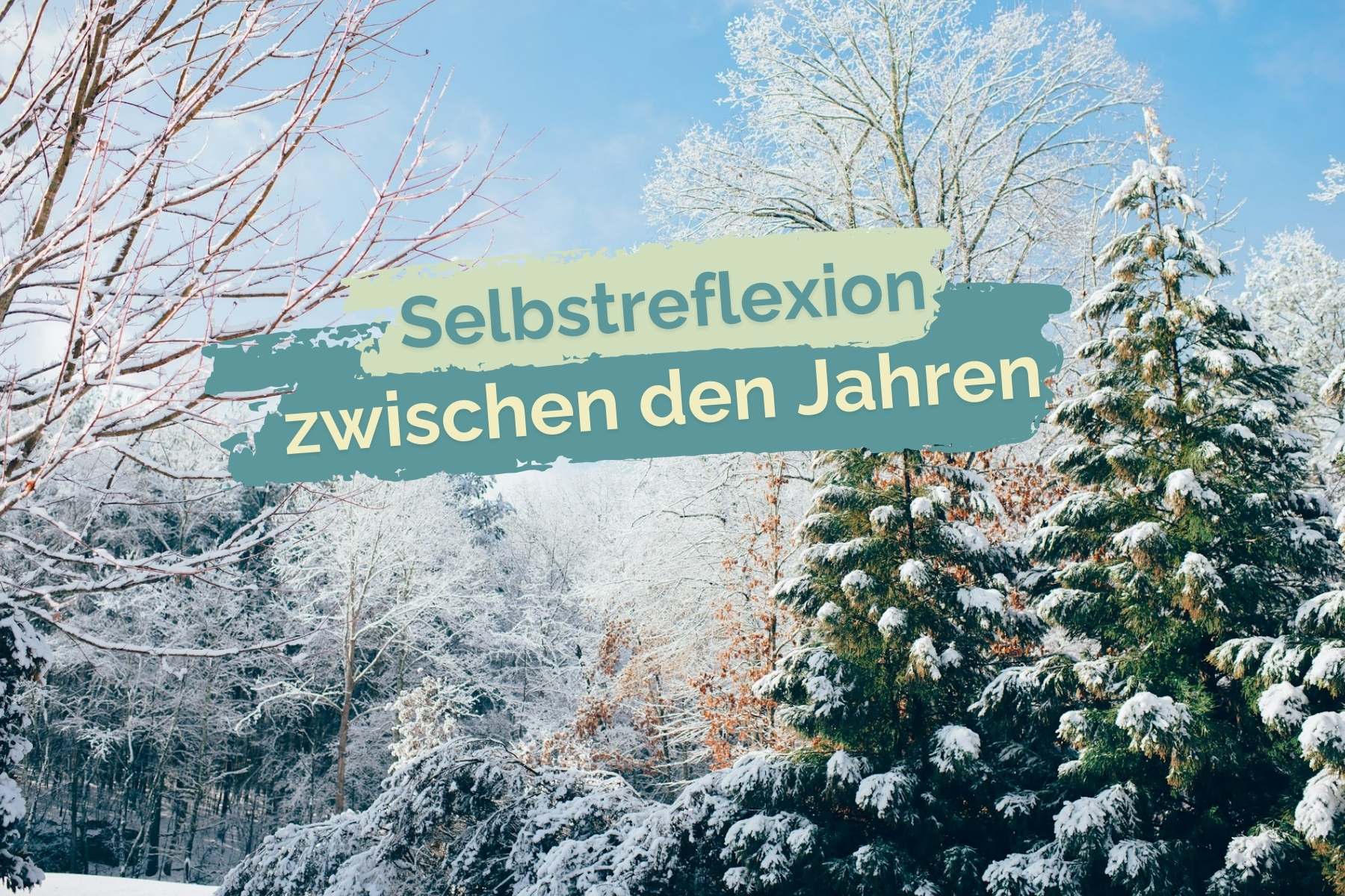 Ein verschneiter Winterwald, davor der Schriftzug "Selbstreflexion zwischen den Jahren"