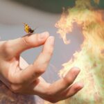 Zwischenfazit: Das Jahr des Feuerpferds