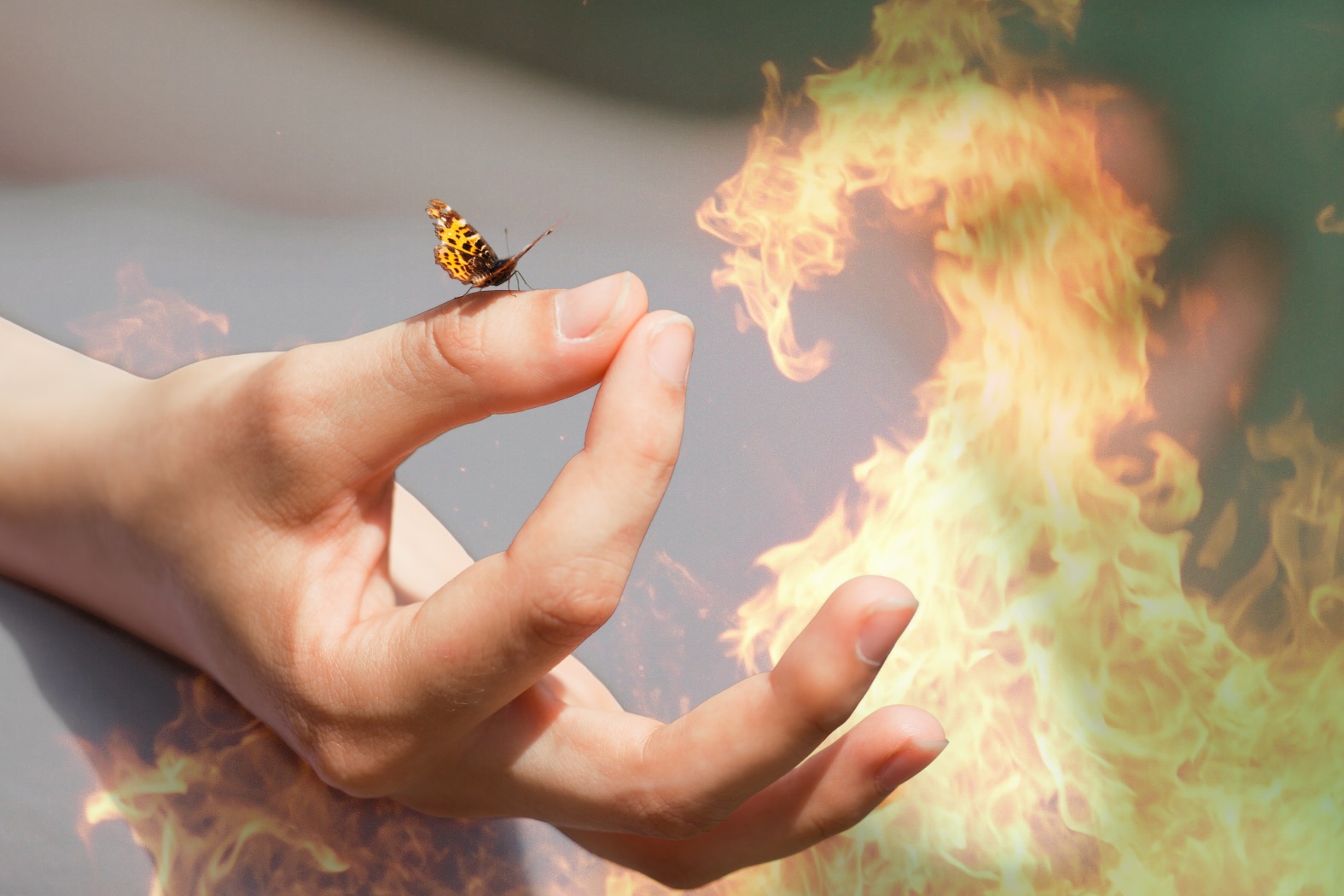 Zwischenfazit: Das Jahr des Feuerpferds